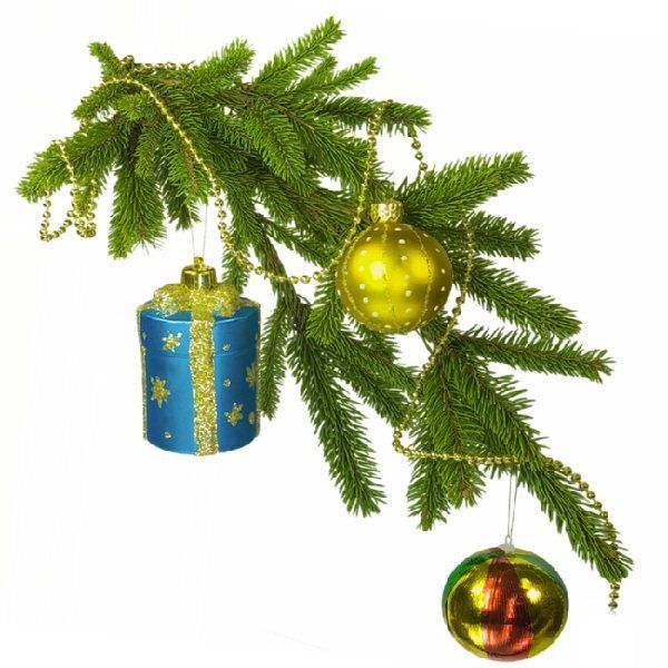 ��� ������� ��������� ���� �� ����� ���: ����� ��� �������������?