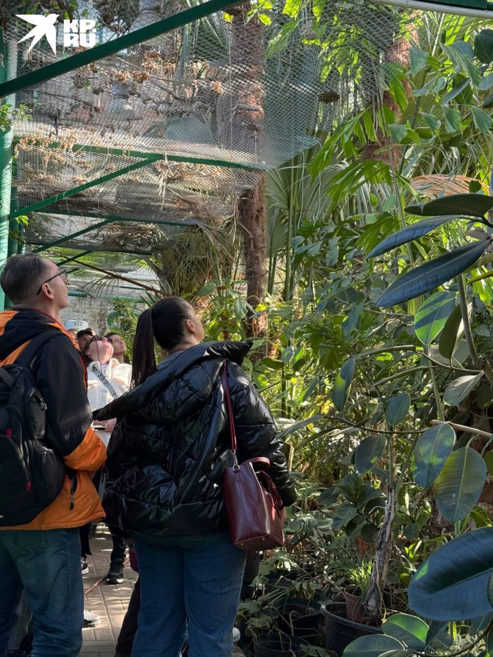 За окном только весна, но в оранжерее ботанического сада уже настоящее лето!