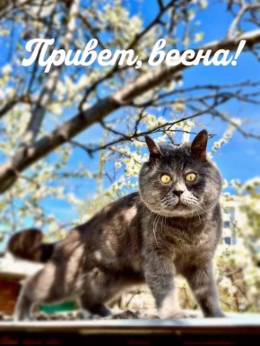 Добрый день, друзья! Весна официально вступила в свои права