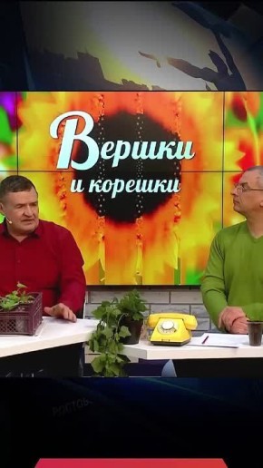 Варенье поможет избавиться от слизней на грядках