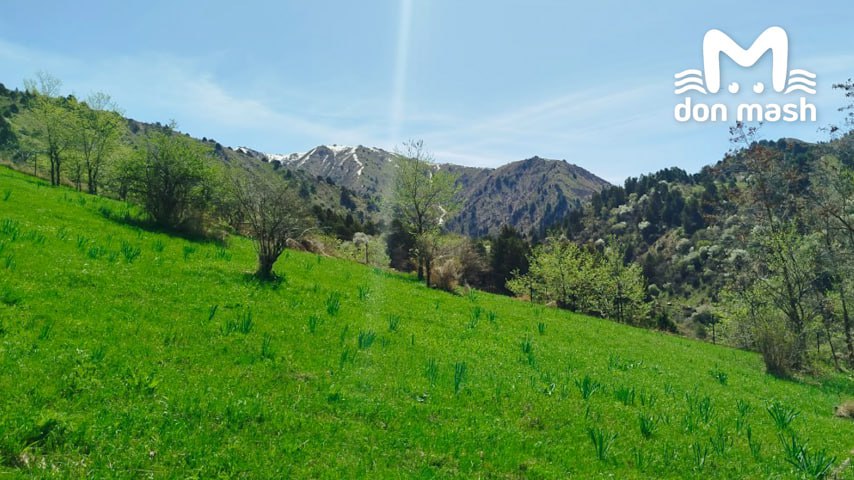 Весна… Чувствуете же её приближение, да? Ещё немного и можно будет запихать куртки поглубже в шкафы