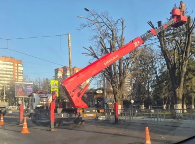 На площади имени Ленина. в Шахтах начали работы по кронированию деревьев
