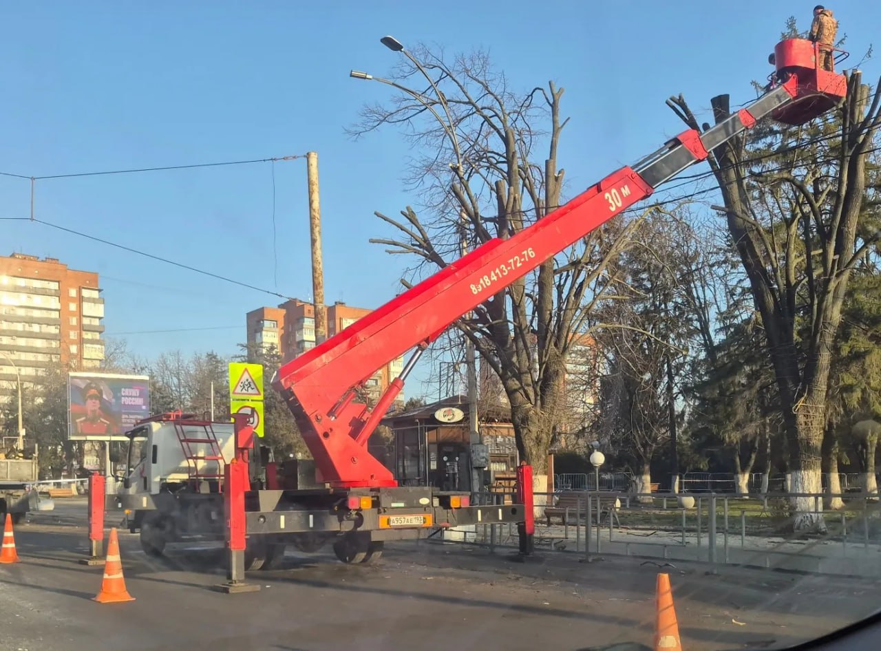 На площади имени Ленина. в Шахтах начали работы по кронированию деревьев