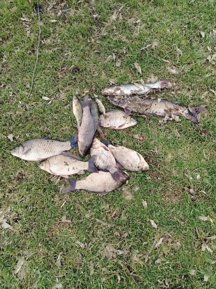 Донские рыбаки открыли весенний сезон на Теплом канале Донские рыбаки открыли весенний сезон на Теплом канале