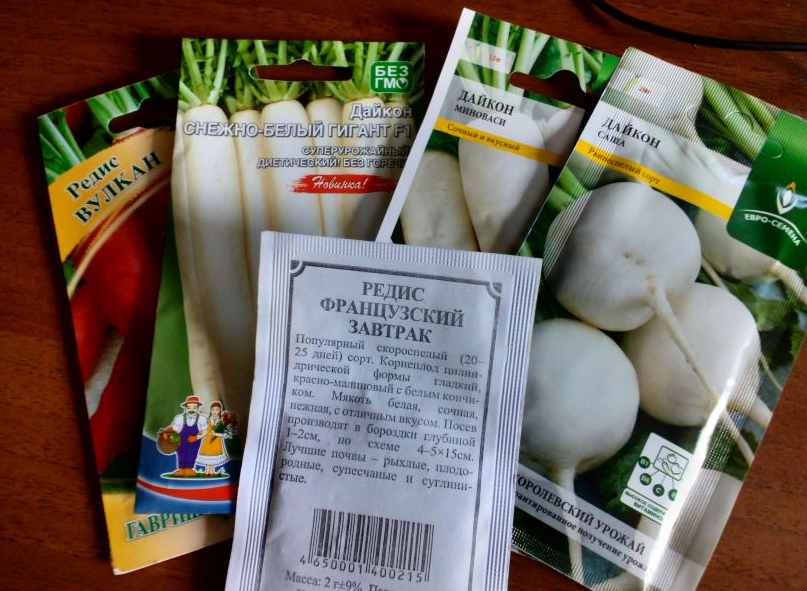 Эксперимент с укрывным: как вырастить редис и дайкон в Сибири