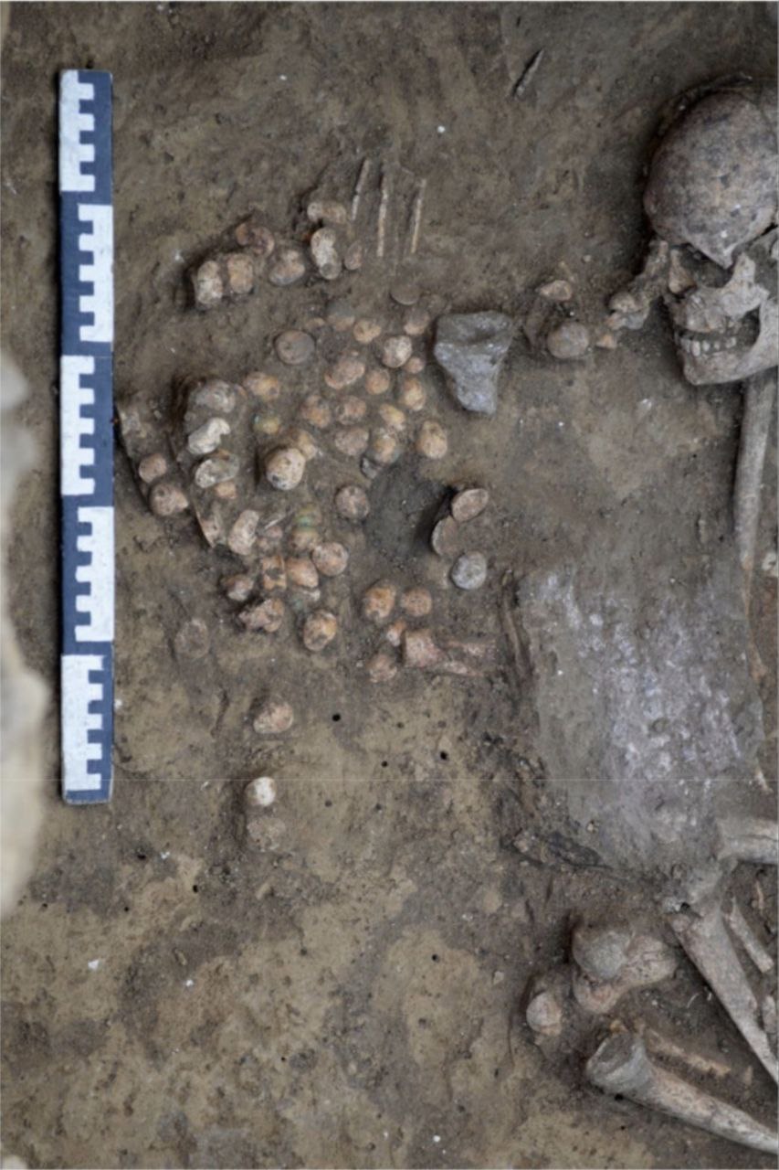 Археолог восстановил древнюю игру, которую нашли в могильнике в Аксайском районе Археолог восстановил древнюю игру, которую нашли в могильнике в Аксайском районе