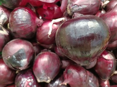 ��� ������������ ������� � ��������� ������: �������� ������ ��� ������� � ����