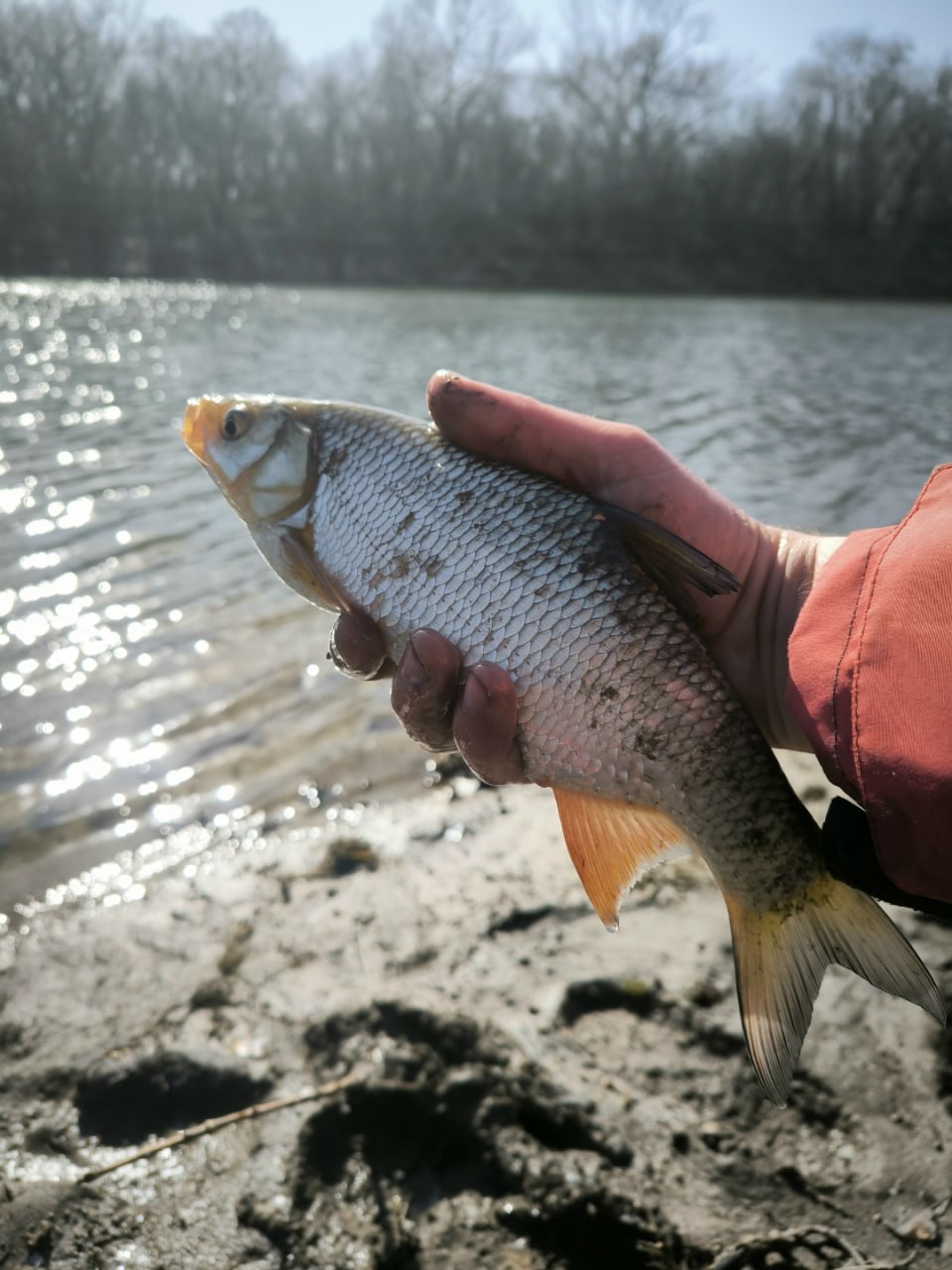 Донские рыбаки открыли весенний сезон на Теплом канале