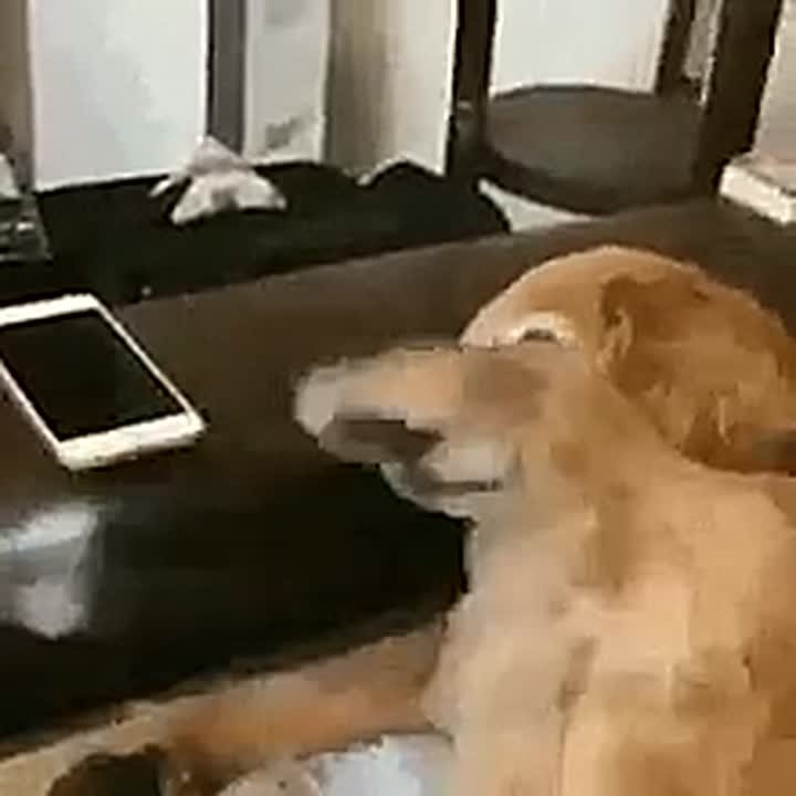 Мошенники начали мстить не попавшимся на их уловки: какие две тактики они используют