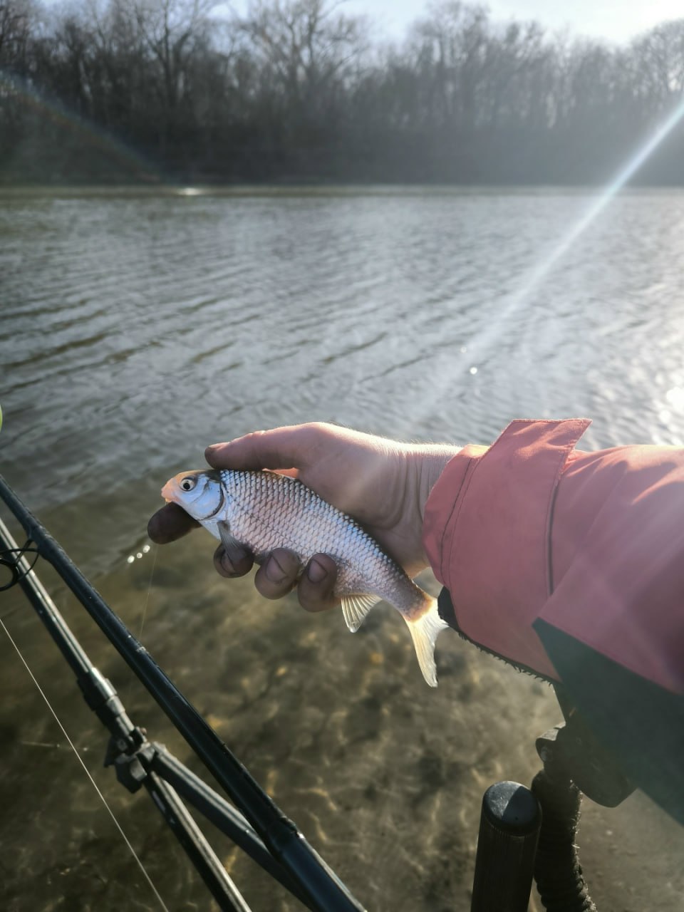 Донские рыбаки открыли весенний сезон на Теплом канале Донские рыбаки открыли весенний сезон на Теплом канале