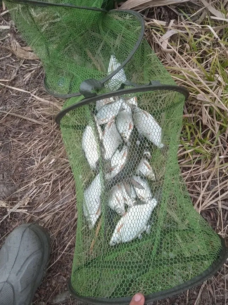 Донские рыбаки открыли весенний сезон на Теплом канале Донские рыбаки открыли весенний сезон на Теплом канале