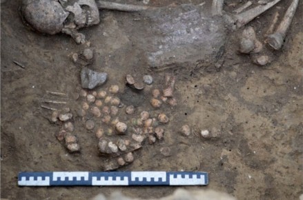 На Нижнем Дону обнаружили древнюю игру — предшественницу шахмат