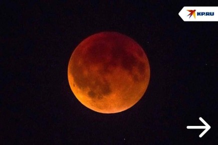 �������� ������ ��������� �������� ����: ��� ������� ������� ��������