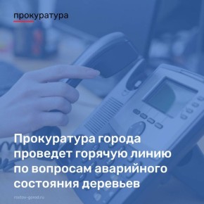 Прокуратура РостованаДону проведёт горячую линию по вопросам аварийного состояния зелёных насаждений и неубранных деревьев