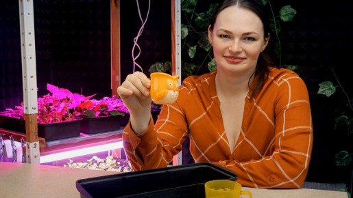 ��� ������� ��������� ������� ��� �������: �� ������ �� ������