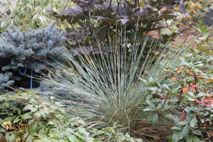 ���������� ������ � ����������� ��������������