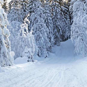 ��� ������ � ��������� �������� ������� ������� �� ����