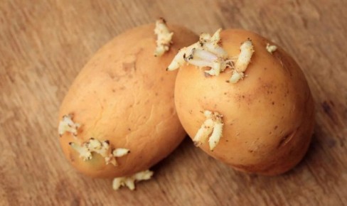 ���������� ��������: ��������� � ������������ �� ������������