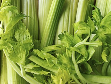 ����������� ��������� ����: ������� � ������ ��� ����������