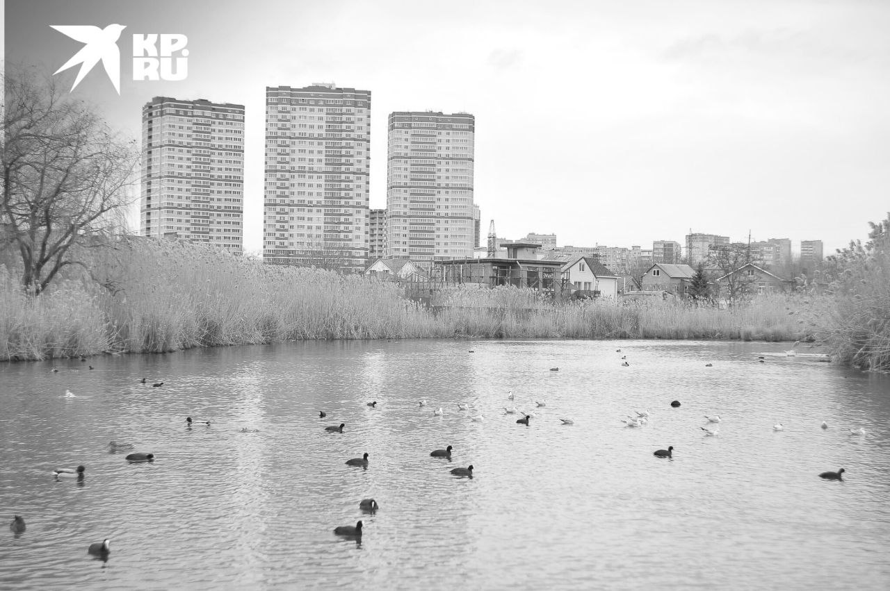 Прогулялись по окрестностям армянской церкви Сурб-Хач – самого древнего и красивого здания в Ростове-на-Дону Прогулялись по окрестностям армянской церкви Сурб-Хач – самого древнего и красивого здания в Ростове-на-Дону