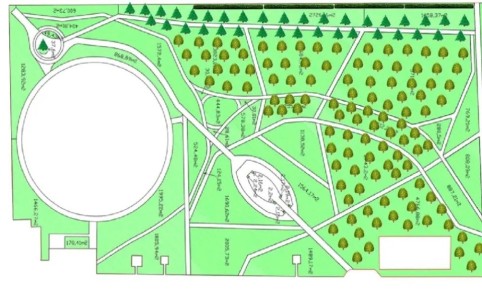 Александровский парк преобразится: новые ели и озеленение!