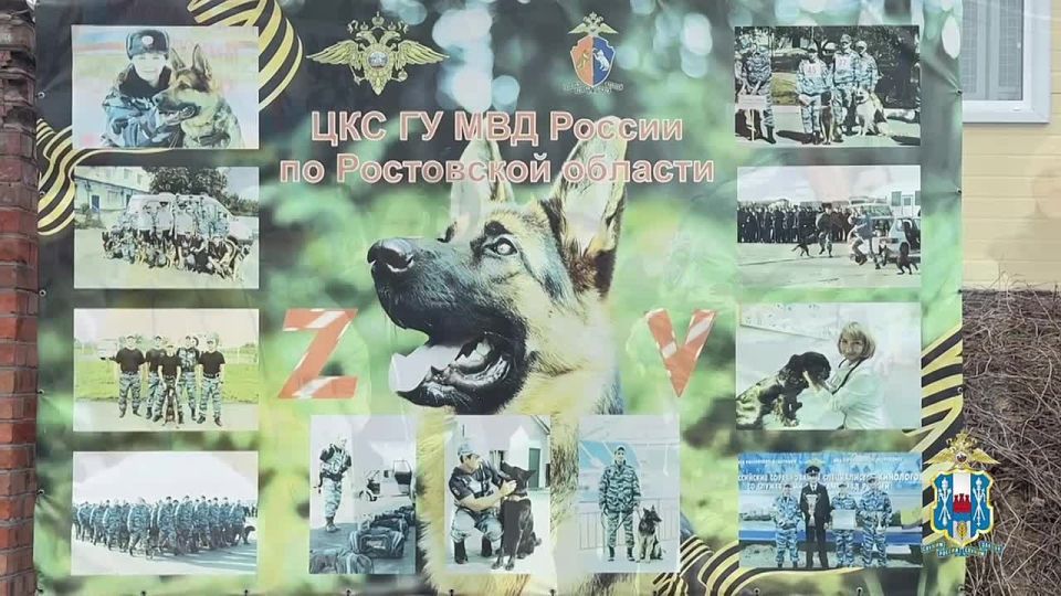 ���������� ��������� ������������� � ������� ��������� � �� ������������ ����������