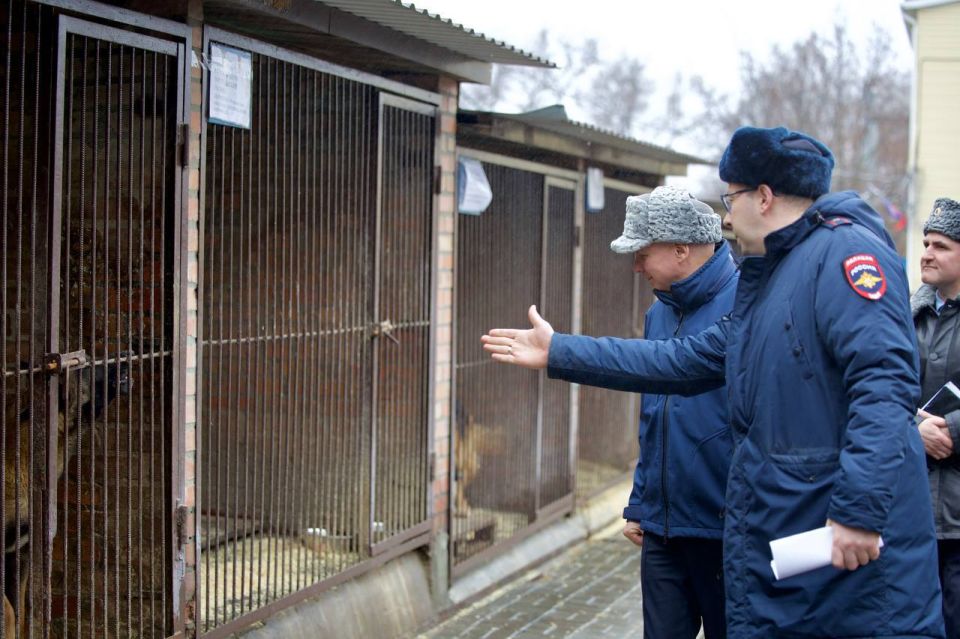 ������������ ���������� ��� ���������������� ������ ������ �������������� ������ � ��������� ���������� ��������