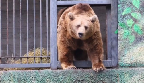 ����� ������� ������� ��������� � �������� ������� ����� �� ����������� ������