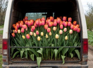 ��������� ������� �������� � �������, ������� ����� �� ���������� ��������������� � ����