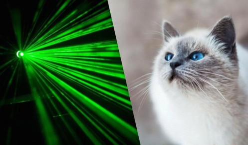 ������ ����� �������� �� �������: ������ ��������