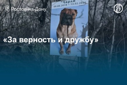 �������� �������� �������� � ������ �����