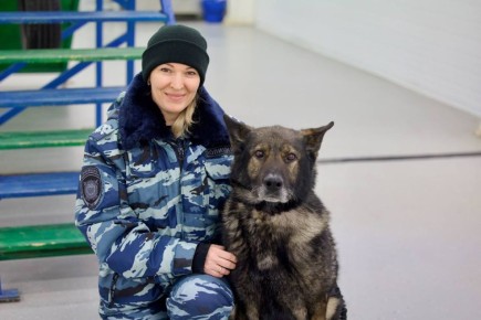 � �������-��-���� ��������� ��� ����� �������� ������� � ����� �� ������