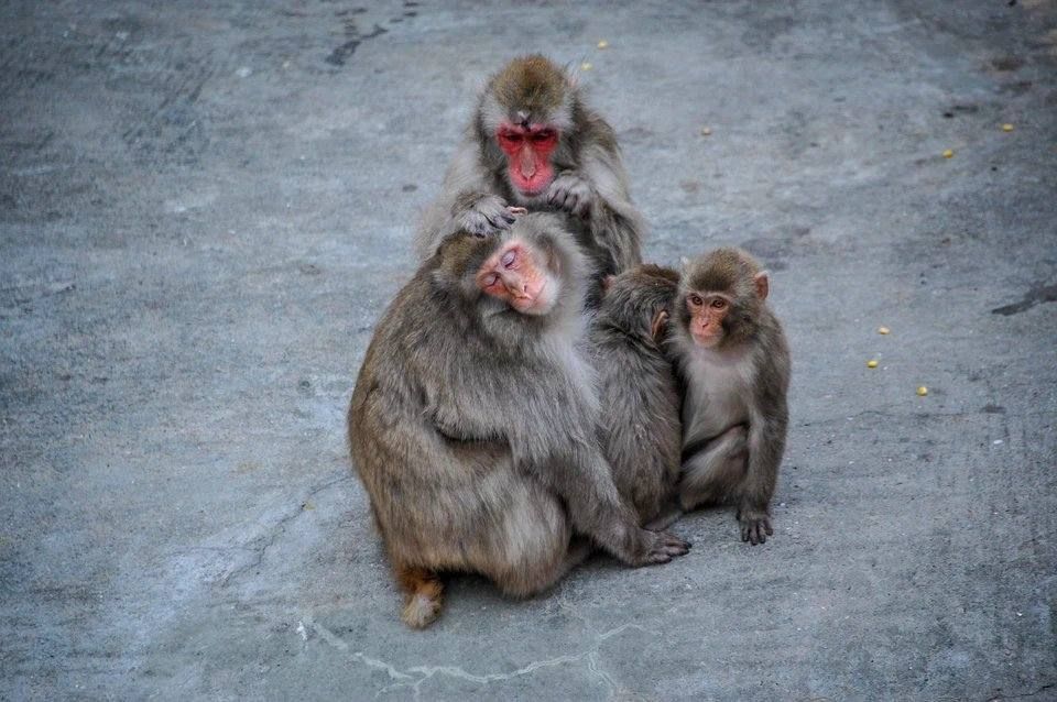 ��������� �� ������ ��������� � ������� ����������� ����� �� ���������� ���������� �����