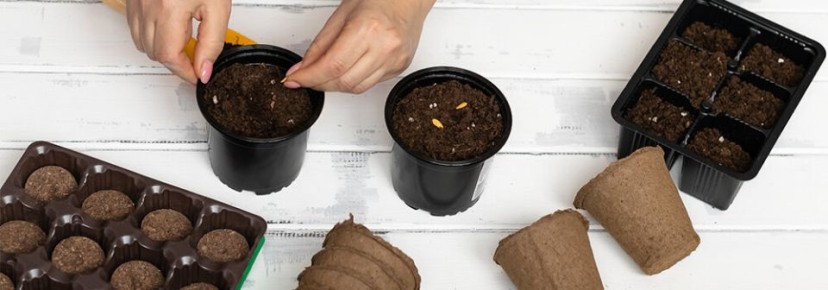 �������� ������: ��� ����� � ����� ��� �������� ������