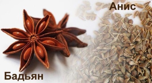 ������ � ����: ������� � ������������ ��������