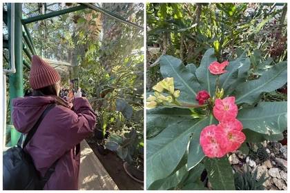 Ботанический сад ЮФУ — это портал в лето круглый год