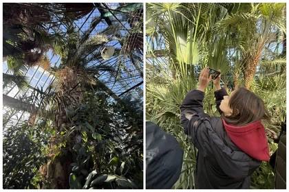 Ботанический сад ЮФУ — это портал в лето круглый год Ботанический сад ЮФУ — это портал в лето круглый год