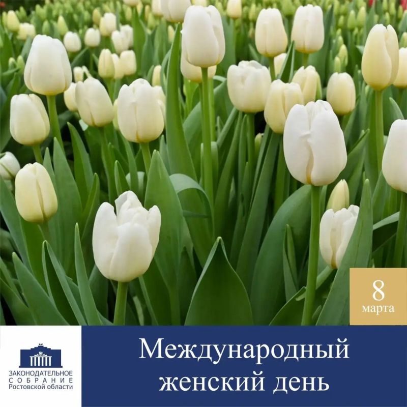 Дорогие женщины!. Поздравляем вас Международным женским днем! 8 Марта – праздник, который наполняет сердца весенним настроением, особой атмосферой, теплотой и радостью