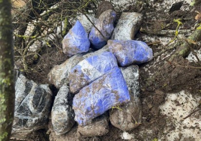 12 ����������� ��������� ���������� � ������ ������� ����������� ������, �������� � ��� �� ���������� �������