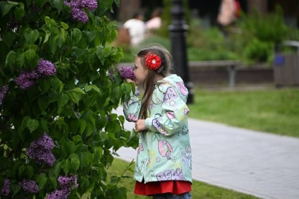 �� ���, ����������, ����������? ����� � ���� ��� ��������� � �����: �������� ����������� ����������� � ������� +14�C