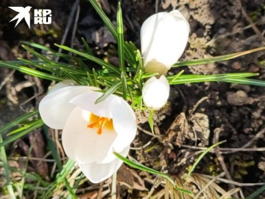 ����� � ������� ��� �������� � ���� �����