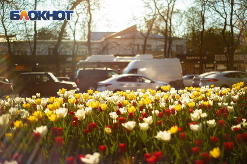 ��������� ��������������� ������ ���� ����� ������� ���������� � �������