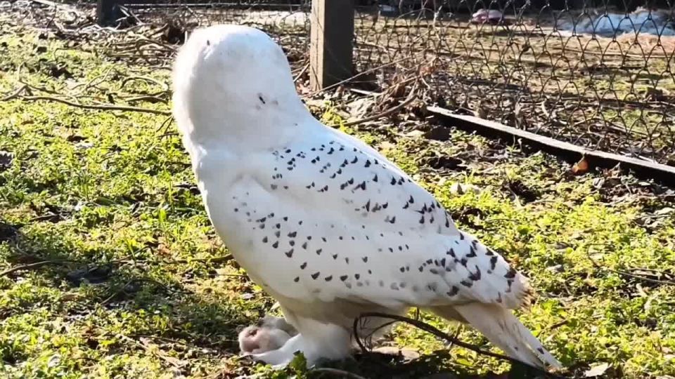 ���� ������ �� ������? ��� ��� ������! �������� ���� �� � �������� ���� � ���������� ��������