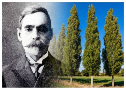 ���������: 120 ��� �� ��� ������� ����������� �� ����� ��������������