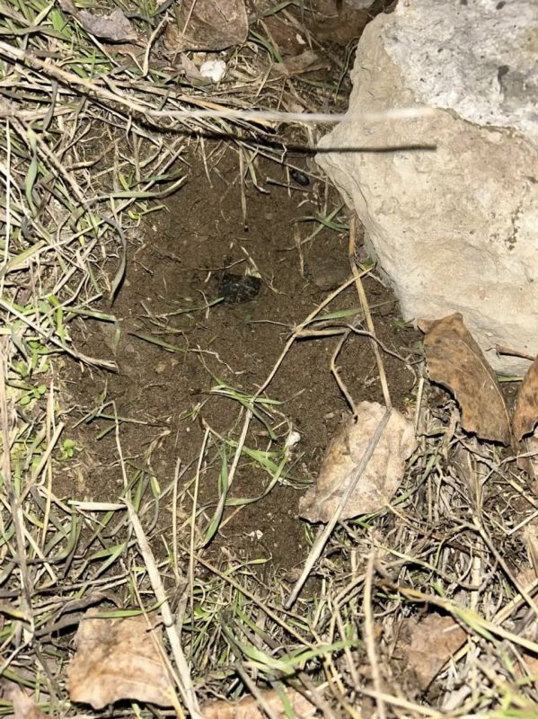 Пара с весом: в Волгодонске полицейские задержали подозреваемых в незаконном обороте наркотиков