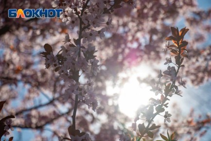 ������ 12 �����: ����� � ��������