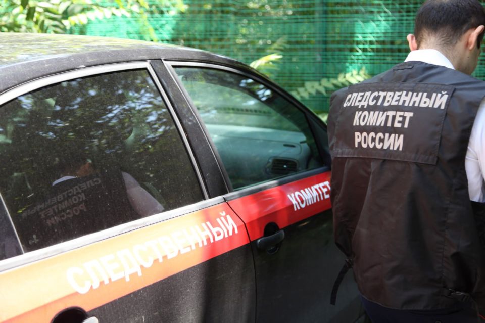 В Донецке возбуждено уголовное дело по факту нападения собак на местных жителей