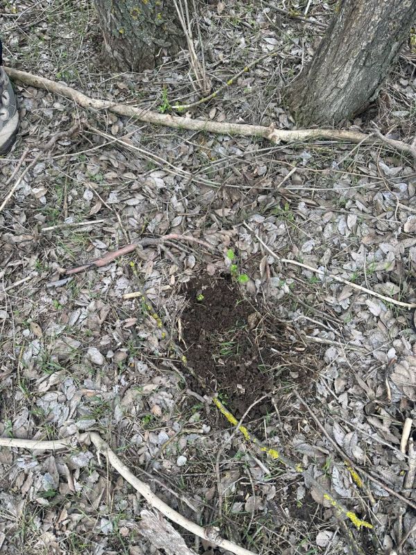 �� ��������� ����������� ��������� ���������, �������������� � �������� ����������