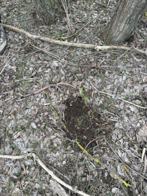 �� ��������� ����������� ��������� ���������, �������������� � �������� ����������