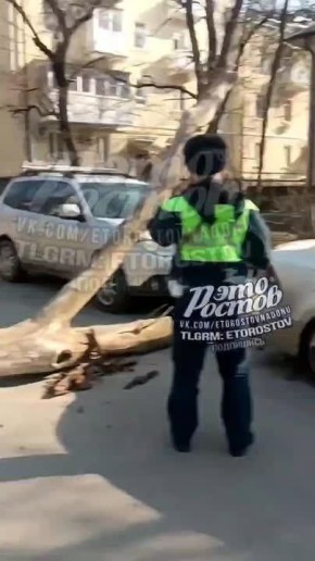 ������ ����� ����� ��������������� �������� � �������� ������� � �������